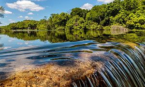 Texas Water